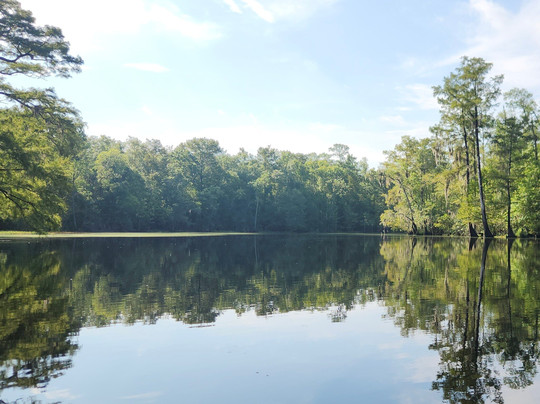 Myrtle Beach Paddle Board & Kayak Adventures-美特尔海滩必去景点