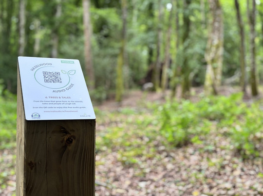 Hazelwood-斯莱戈必去景点