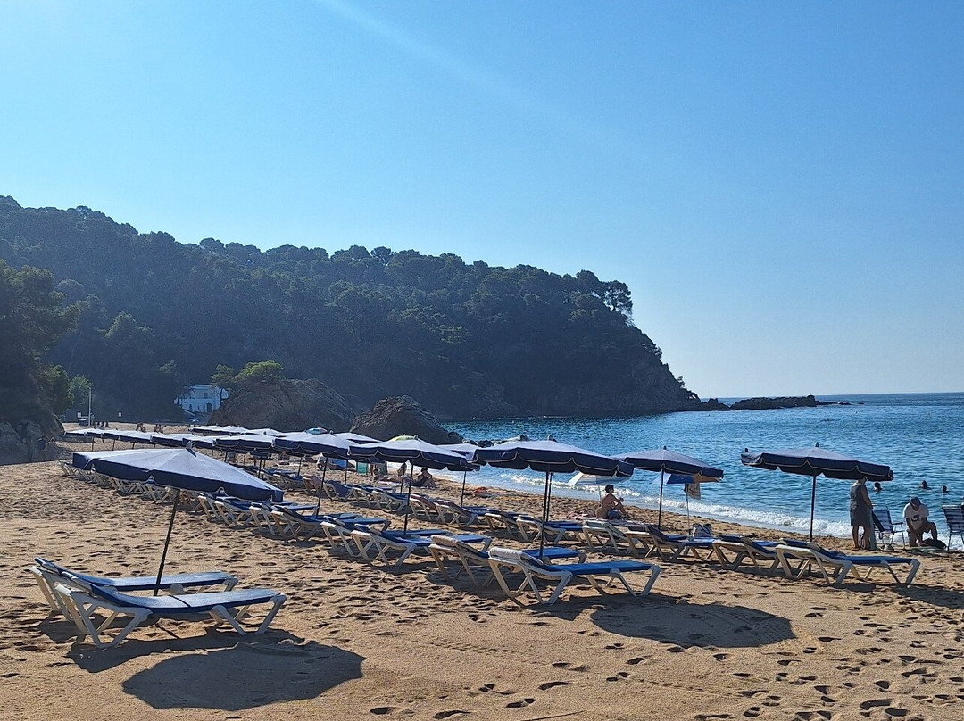 Platja de Canyelles-犹兰特德玛必去景点