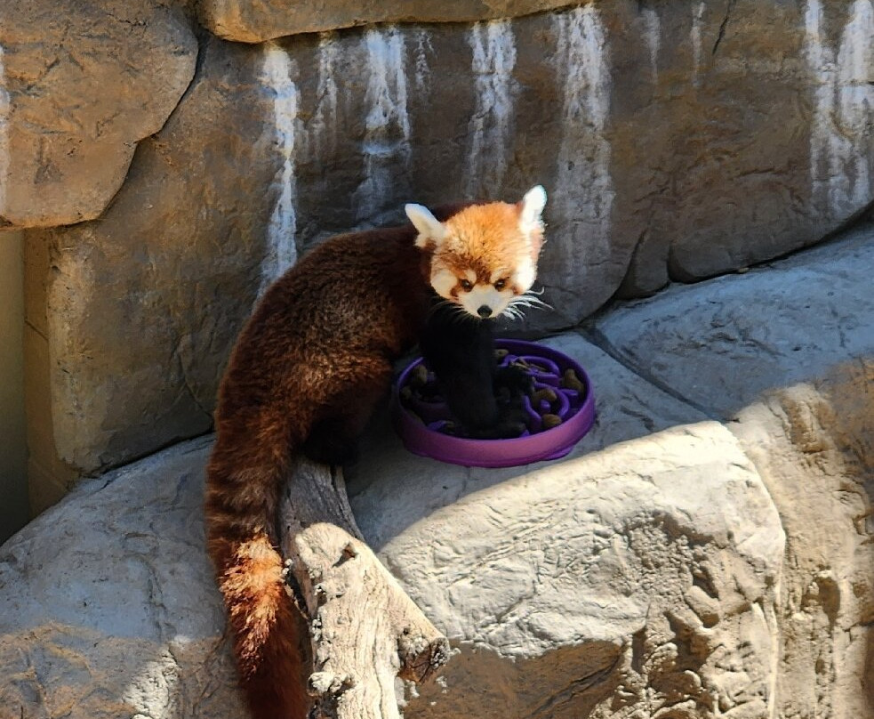 Central Coast Zoo-Atascadero必去景点