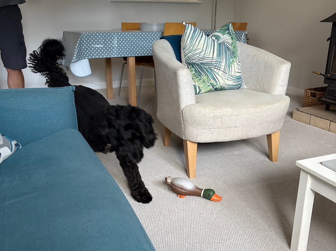 The Bulstone Holiday Accommodation主图