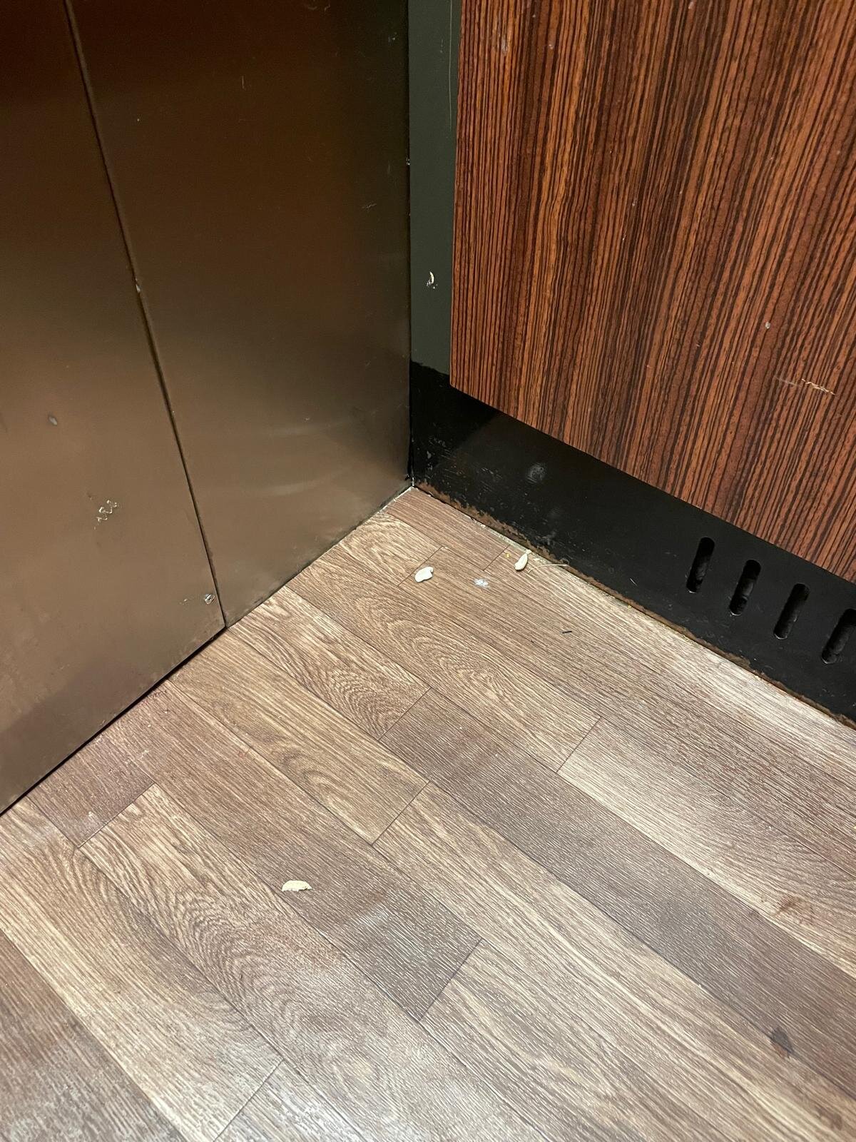 Sonesta ES Suites Allentown Bethlehem Airport-浴室