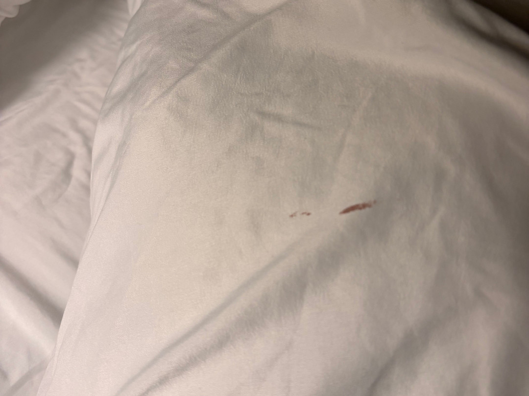 Home2 Suites by Hilton Meridian主图