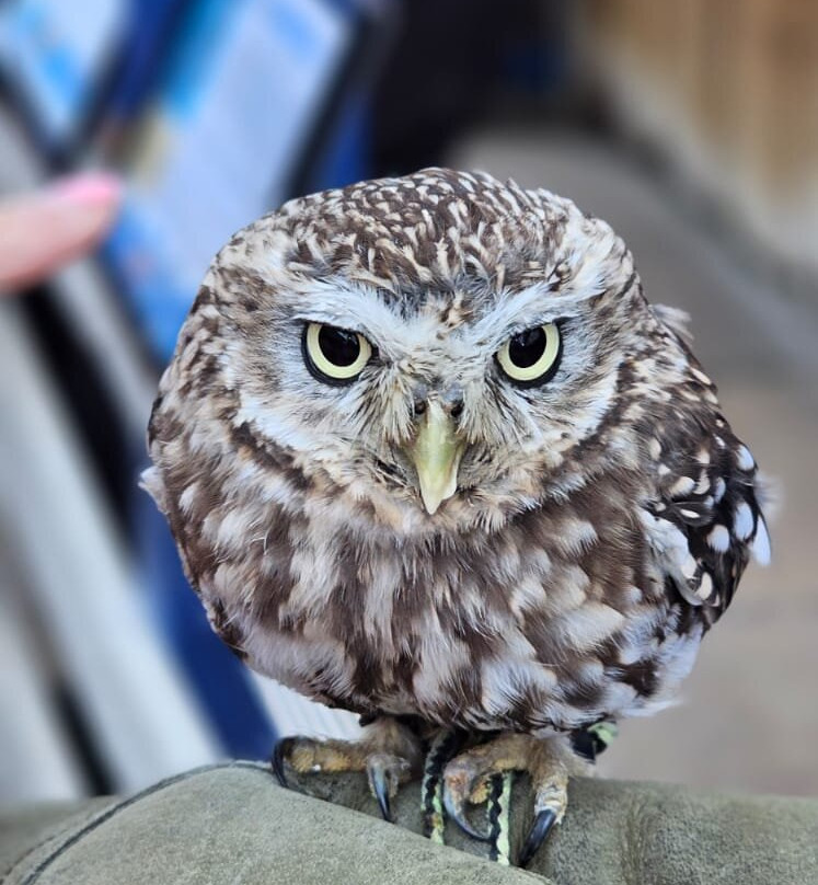 Hall Place & Gardens-Bexley必去景点