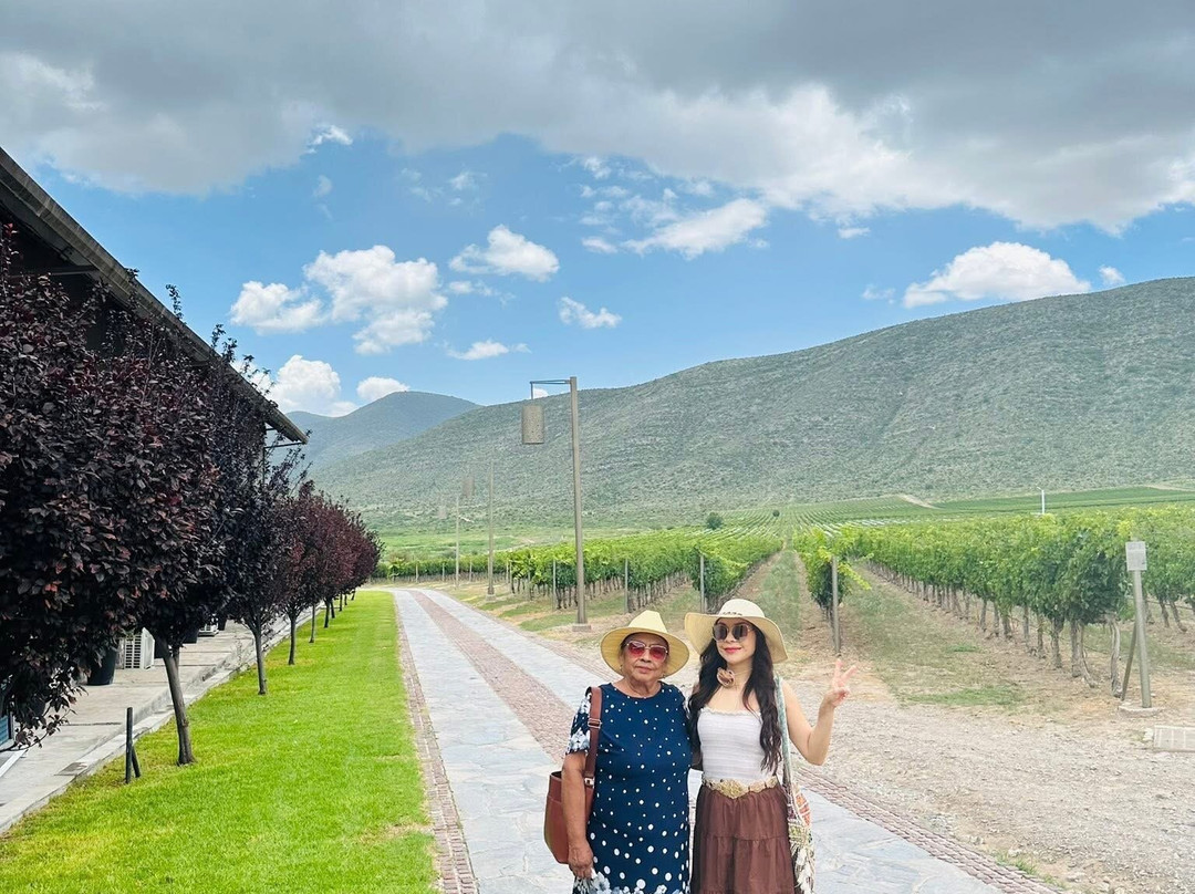 Vinedos Don Leo-Parras de la Fuente必去景点