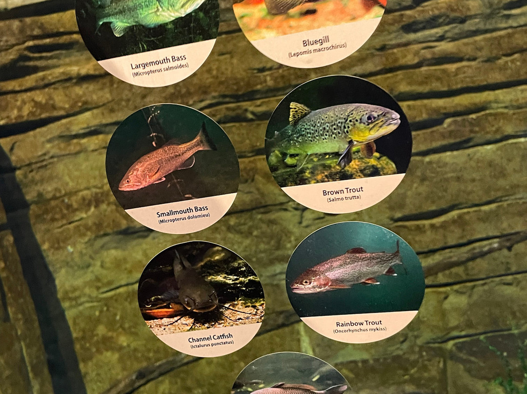 Living Shores Aquarium-Glen必去景点