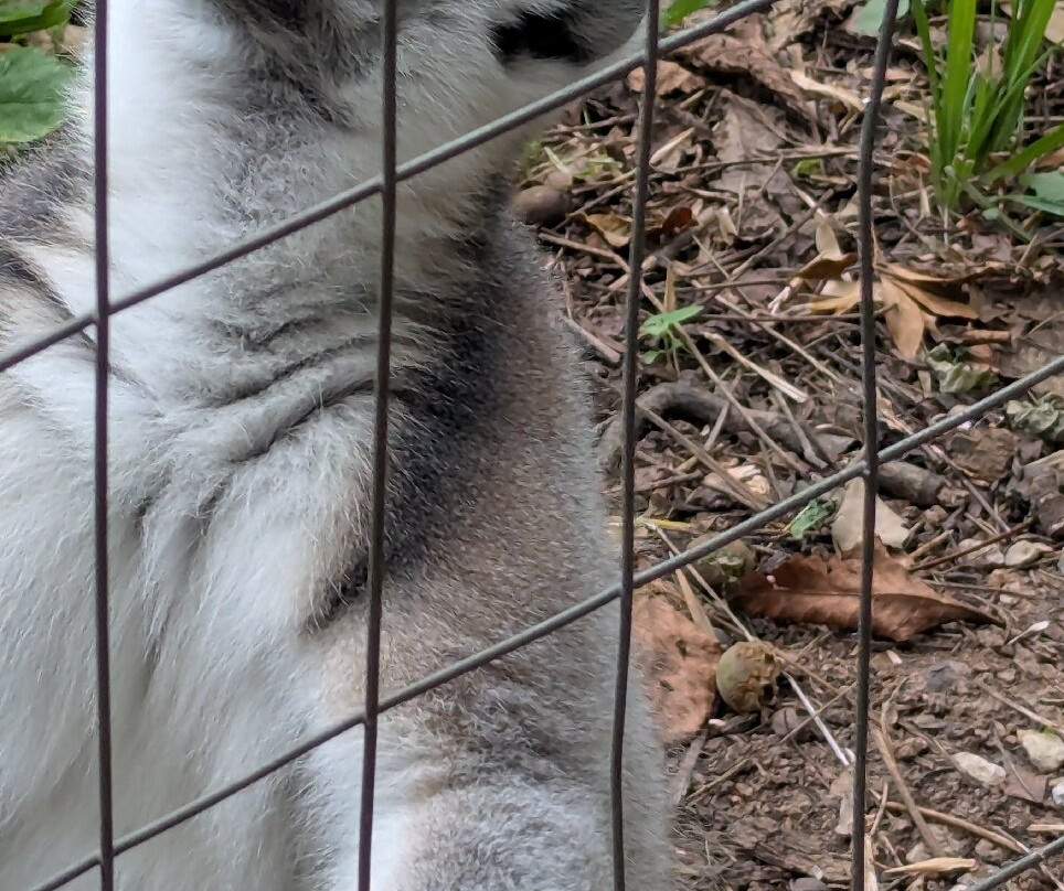 Kentucky Down Under Adventure Zoo-Horse Cave必去景点