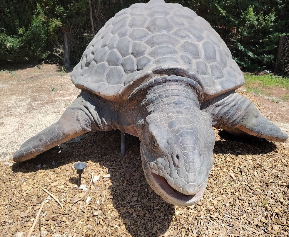 Dinopedia Parcs Provence-La Roque-d'Antheron必去景点