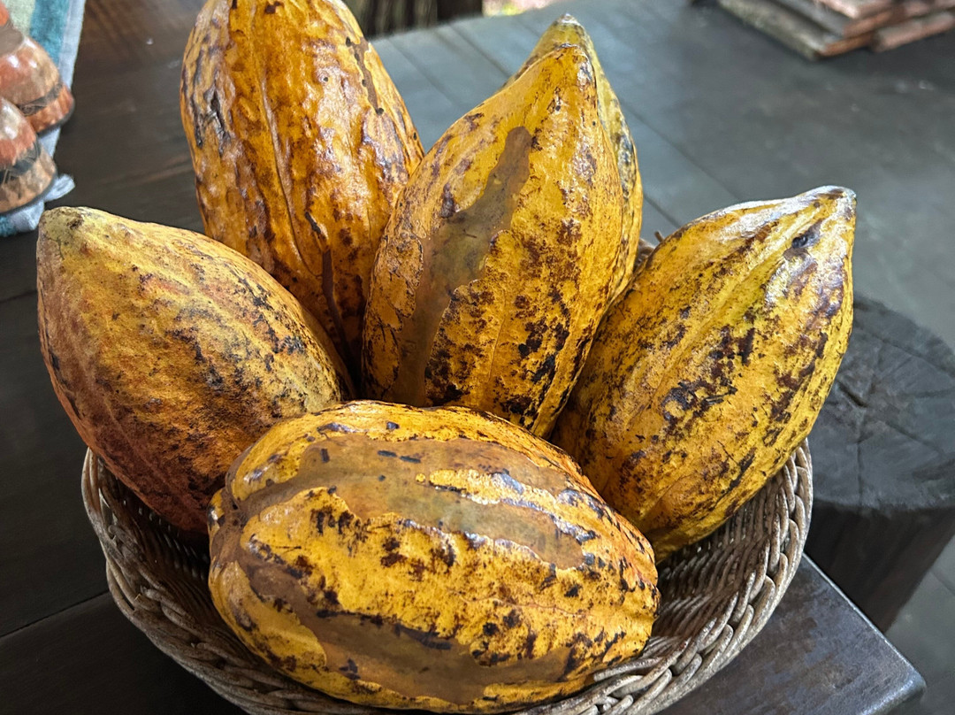 Sol Tropical Day Tours-圣何塞必去景点