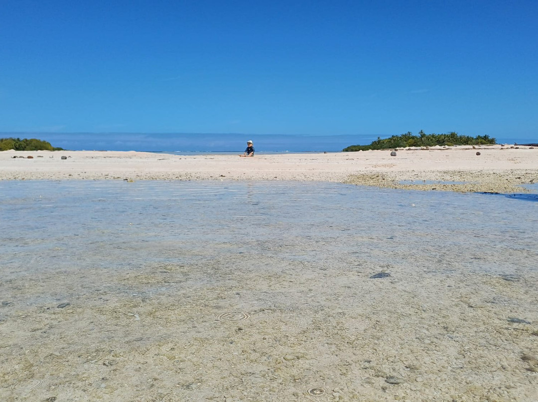 Rairoa Fishing And Tours-伦吉拉必去景点