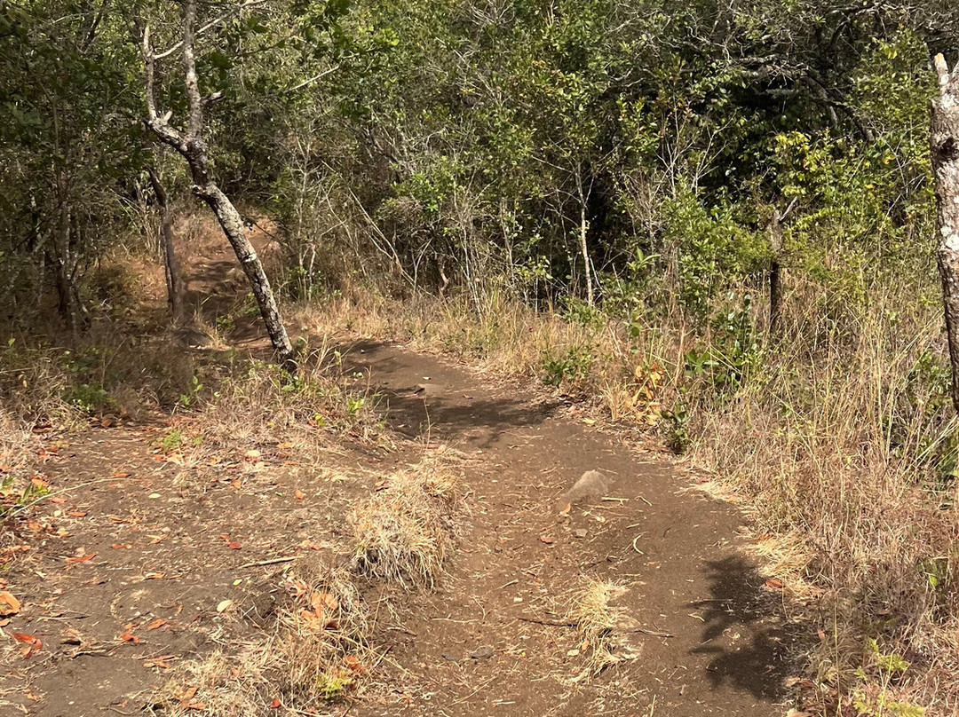 Ol Donyo Sabuk National Park-Machakos必去景点