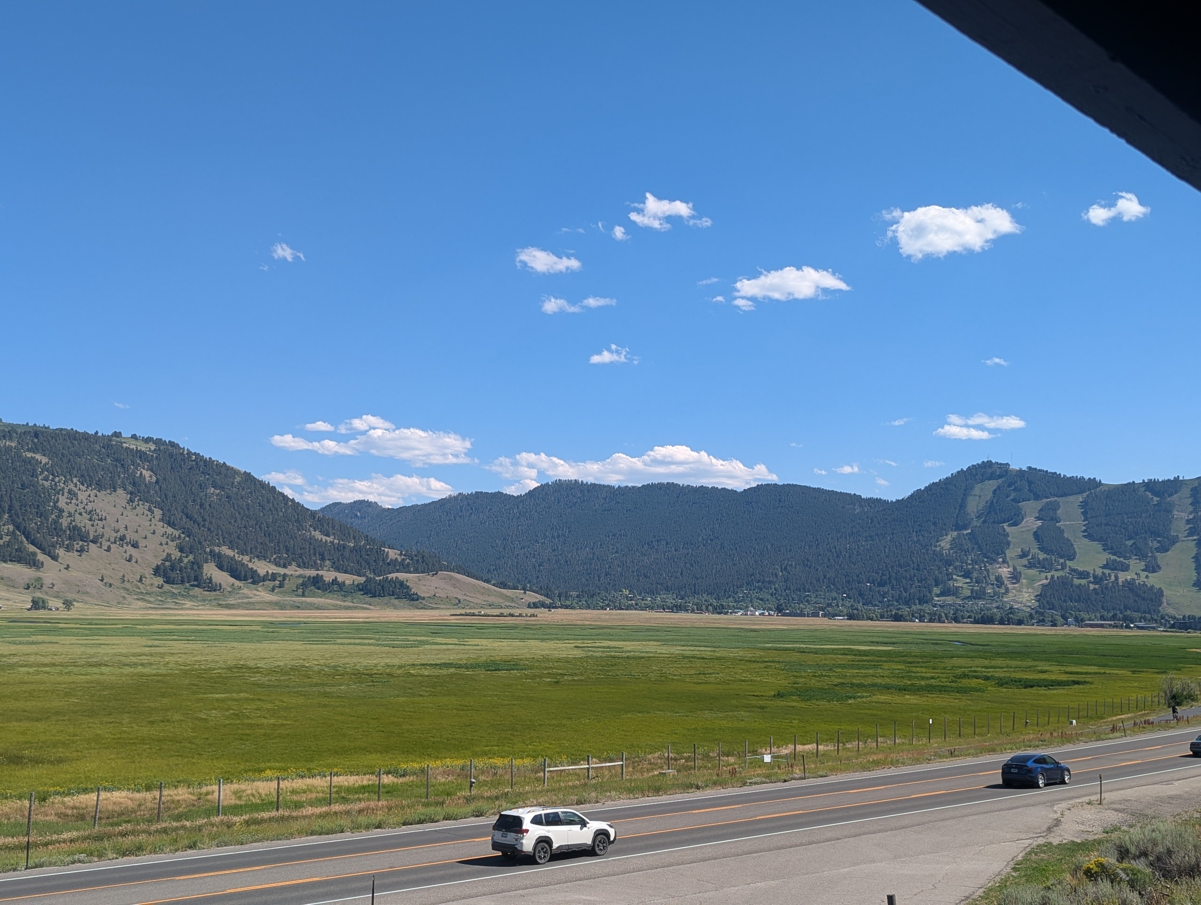 糜鹿保护区酒店-酒店景观