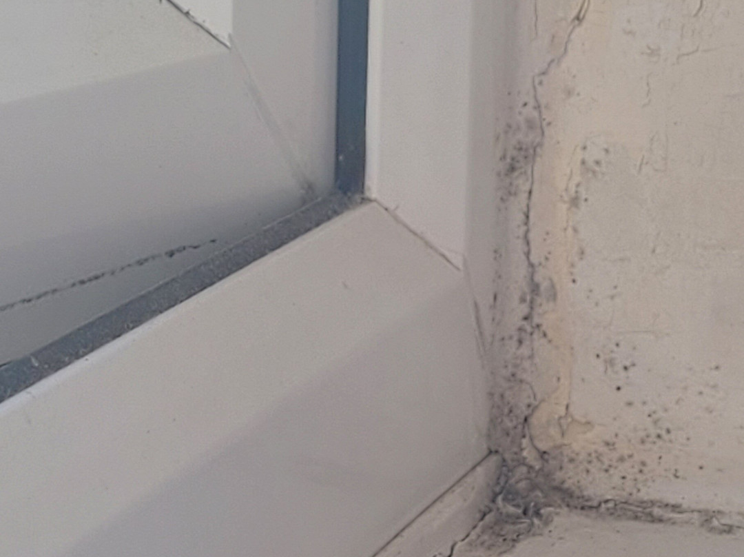 The Winston Guesthouse主图