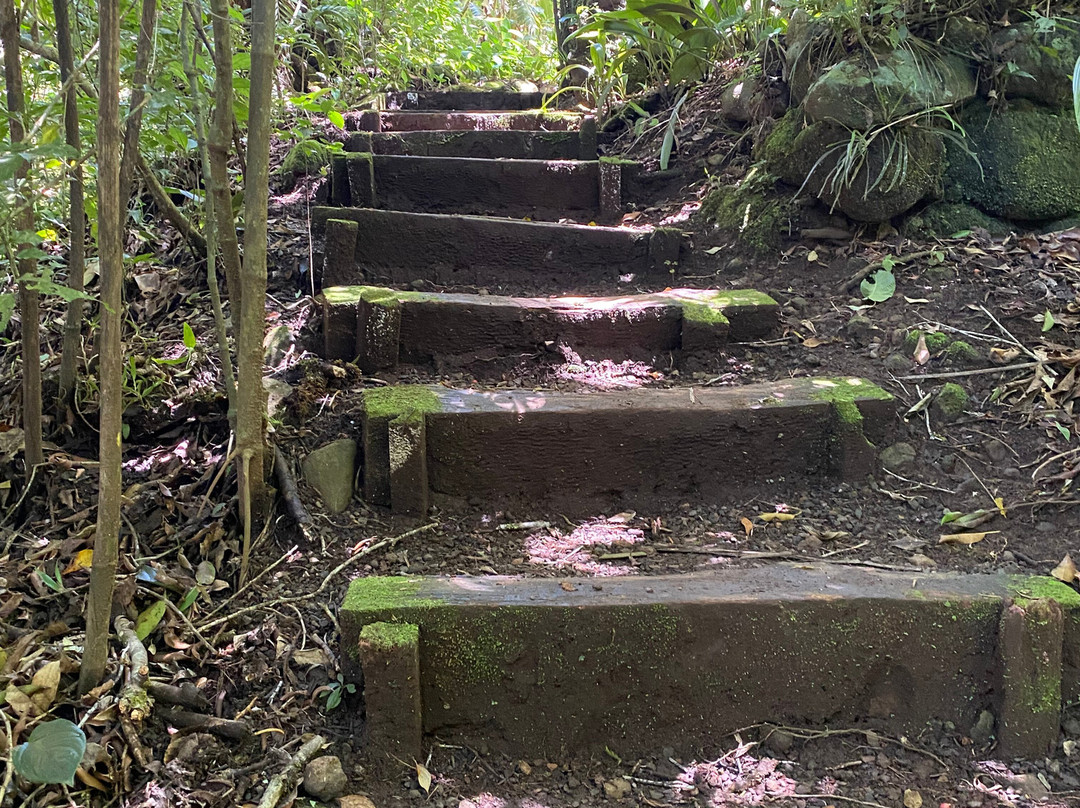 EMERALD FOREST CR-San Isidro必去景点