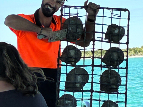 Willie Creek Pearl Farm-布鲁姆必去景点