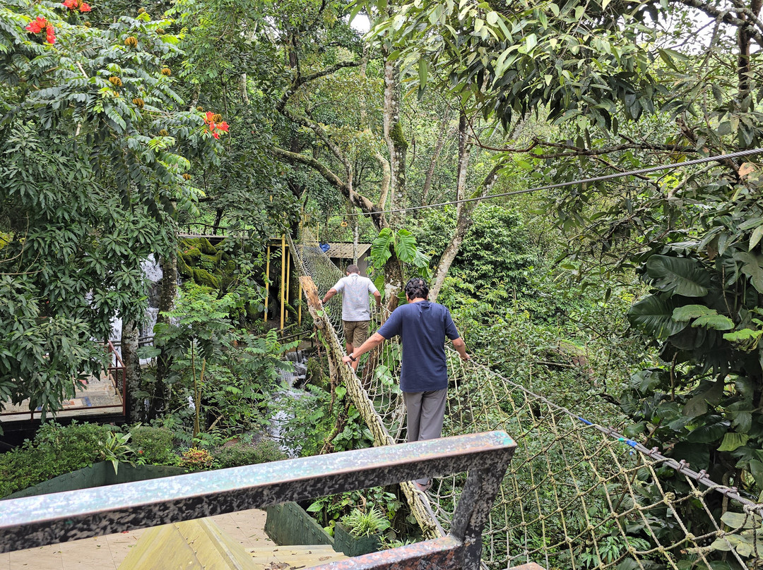 Parakkat Nature Hotels & Resorts主图