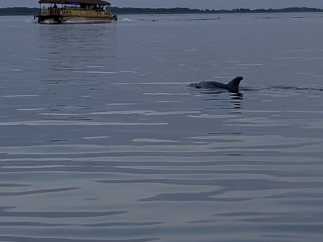Kitty Hawk Kites - Nags Head-纳格斯海德必去景点