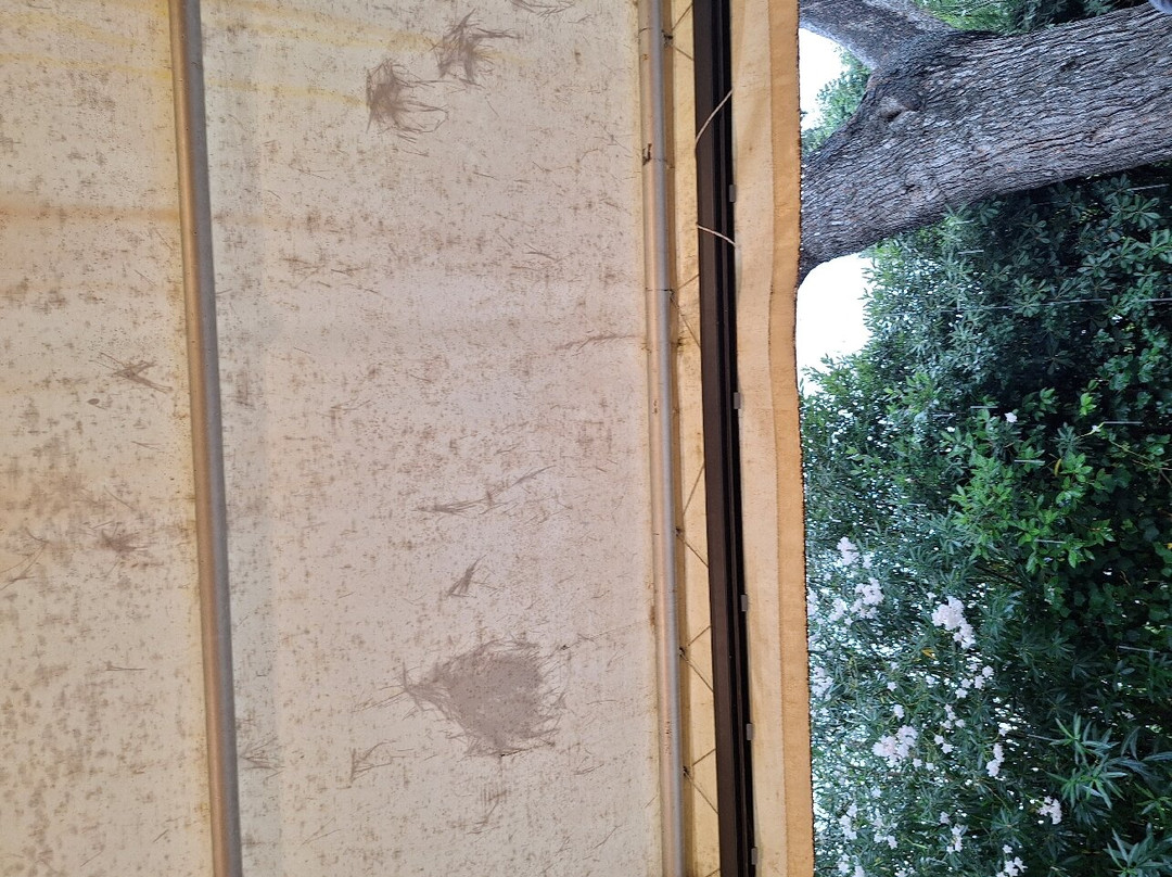 维尔德海岸酒店主图