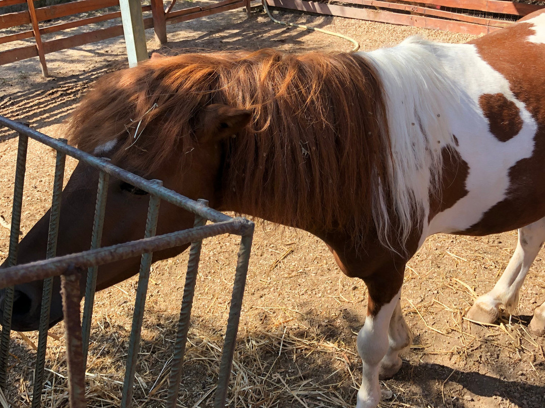 Therianos Family Farm-Kallithea必去景点