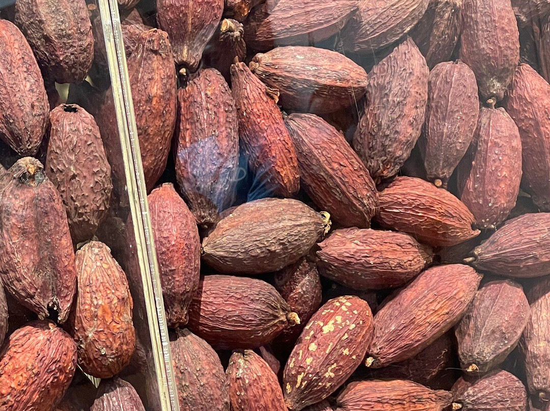 Casa del Cioccolato Perugina-佩鲁贾必去景点