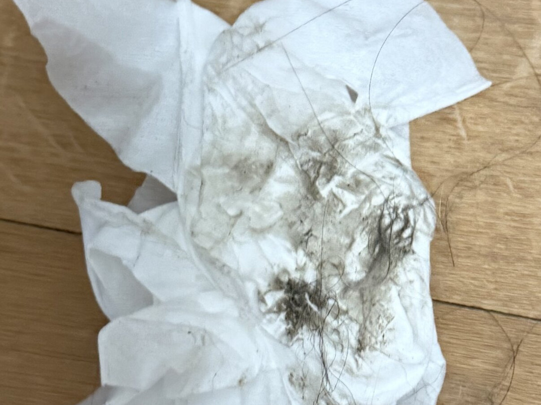 Quality Inn Mount Airy Mayberry主图