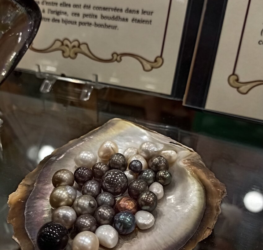 Museum du Coquillage-莱萨布勒多洛讷必去景点