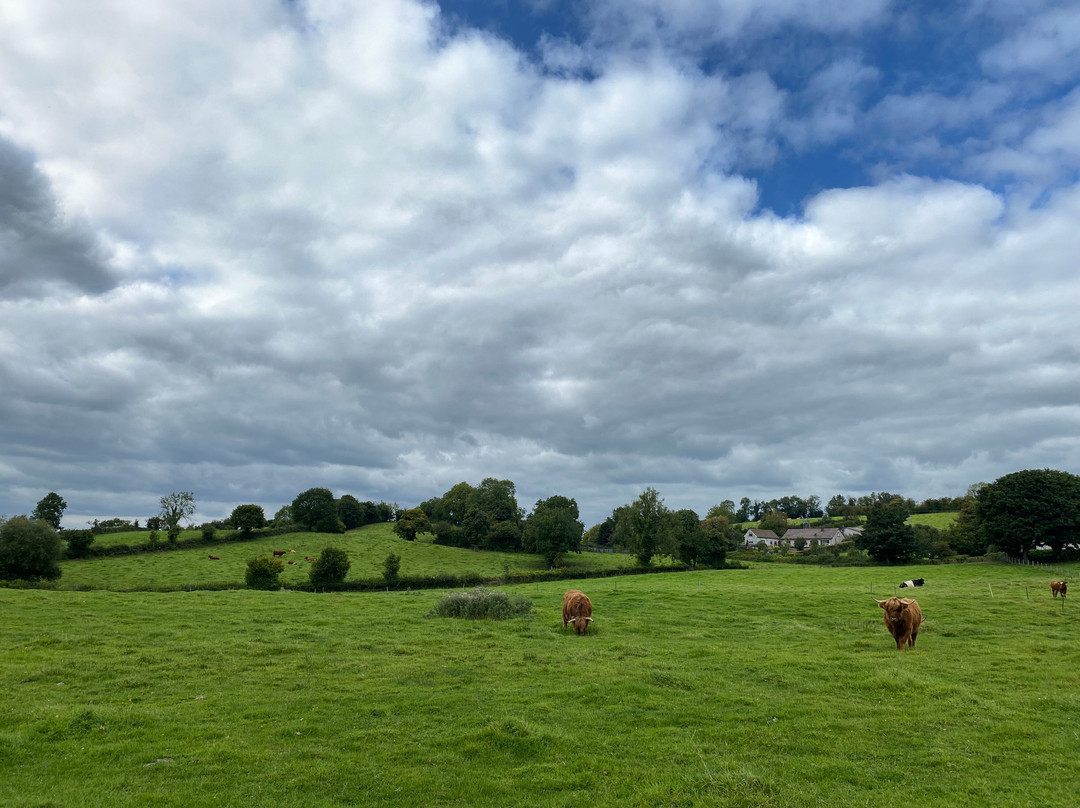 Fermanagh Fun Farm-Lisbellaw必去景点