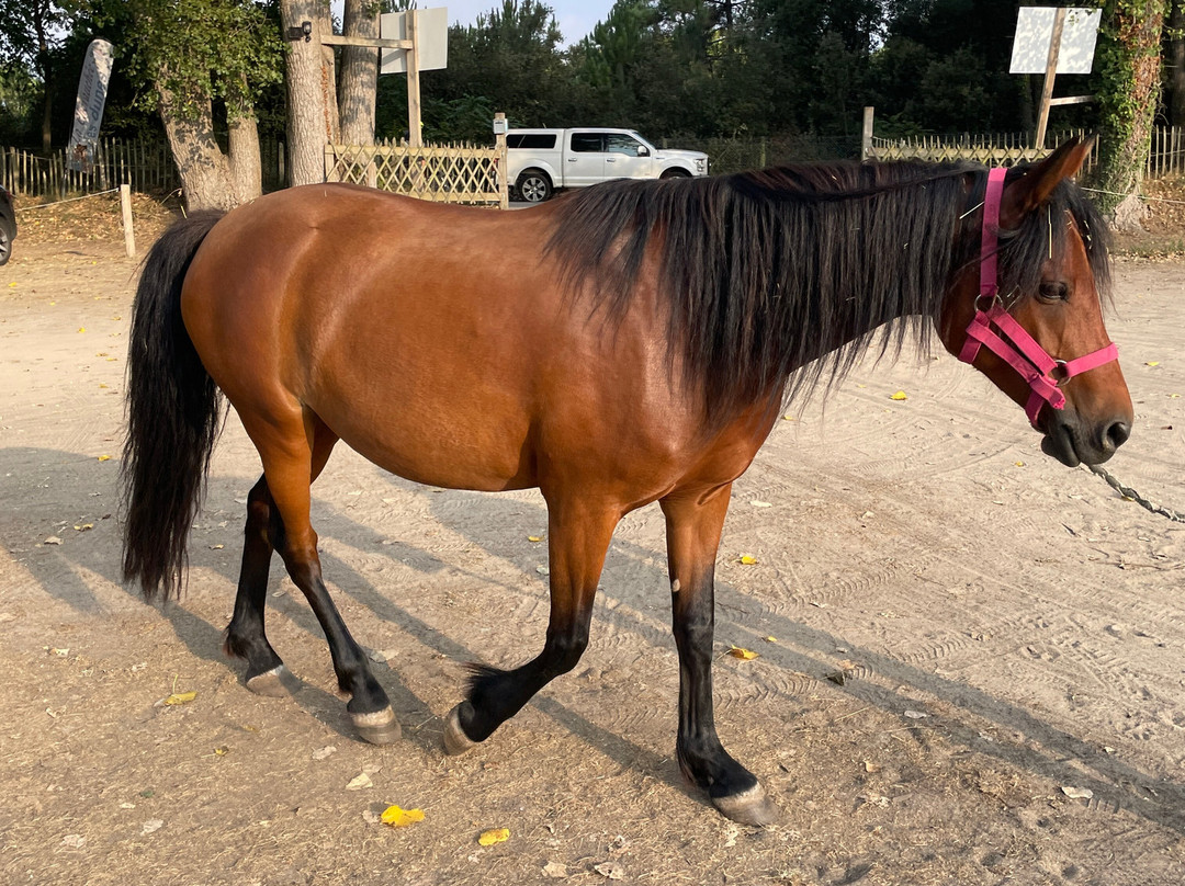 La Chevauchée des Dunes-圣热昂德蒙特必去景点