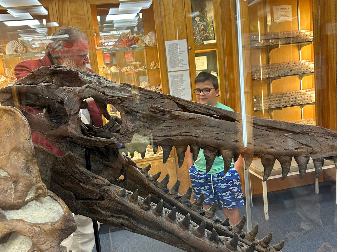 Hicksville Gregory Museum-Hicksville必去景点