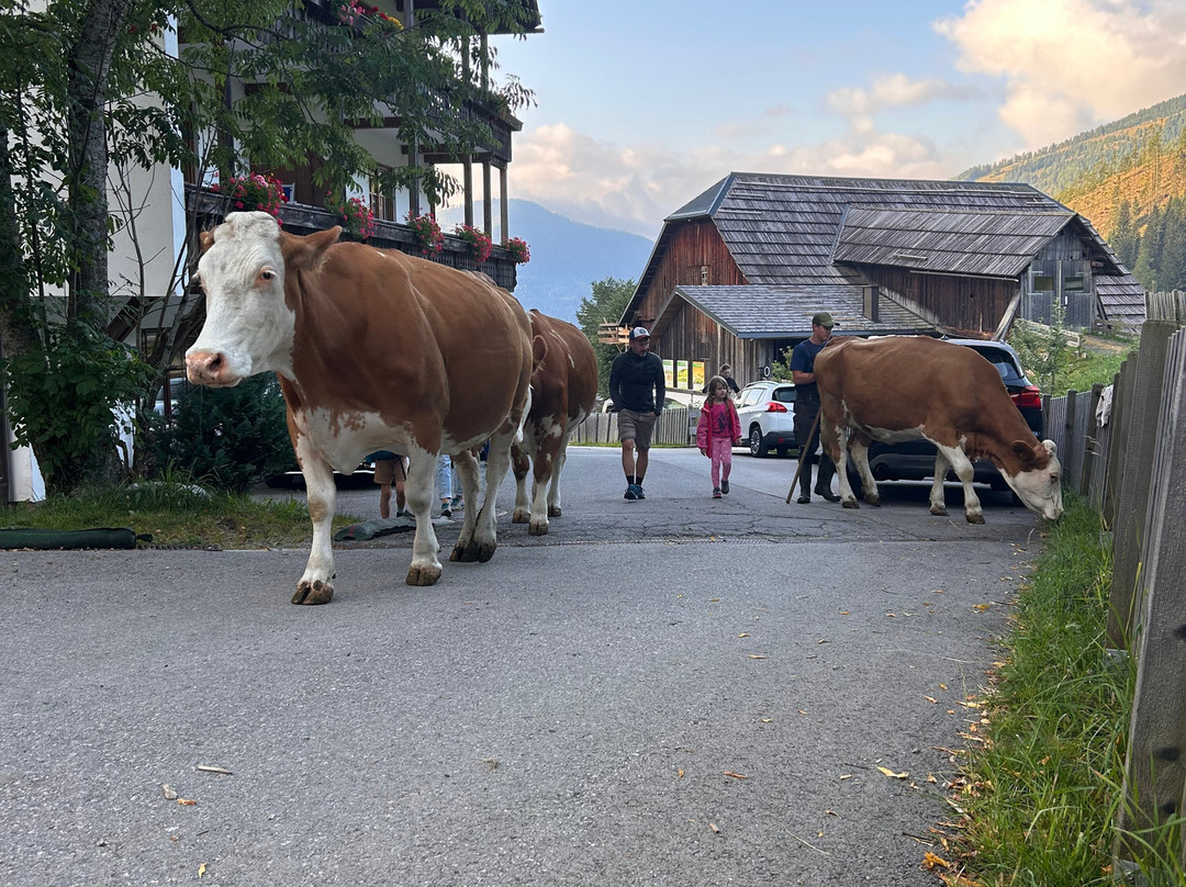 Familienhotel Gasthof Hinteregger主图