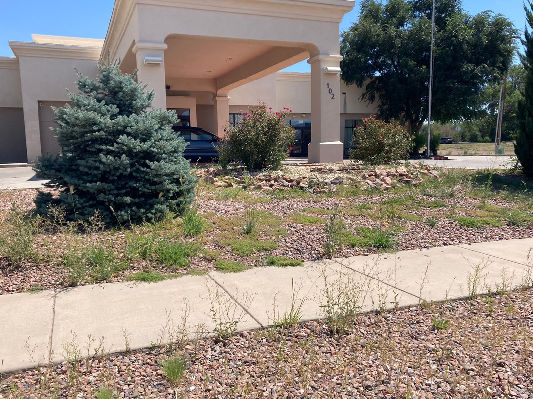 坎伦城希尔顿恒庭酒店主图