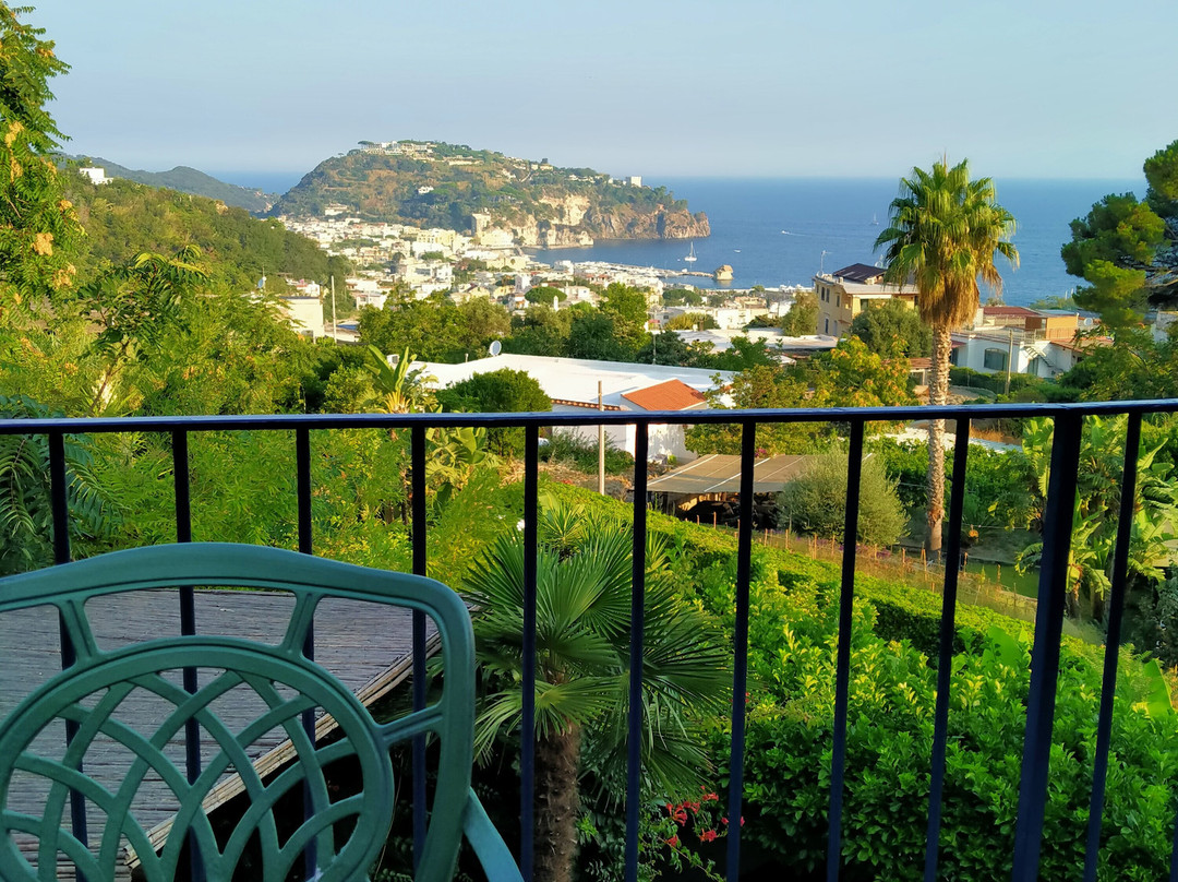 Hotel Pensione Monti主图