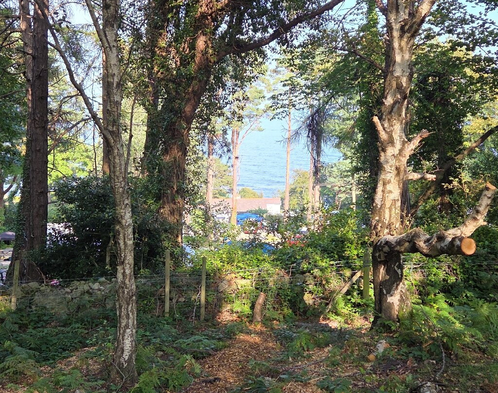 Bloody Bridge-纽卡斯尔必去景点