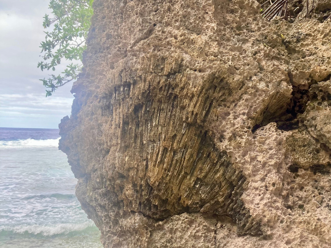 Niue OrientationTour-阿洛菲必去景点