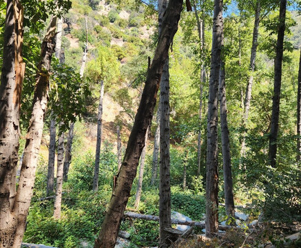 Sturtevant Falls Trail-阿卡迪亚必去景点