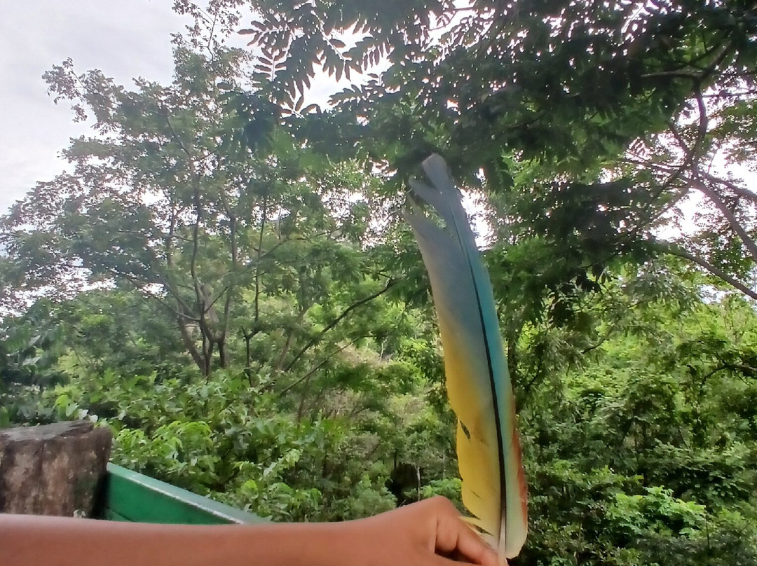 Ara Manzanillo-Manzanillo必去景点