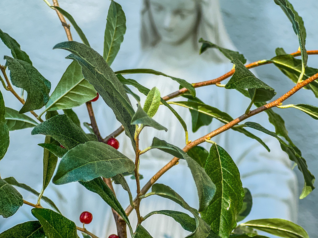 Smithmore Castle-Spruce Pine必去景点