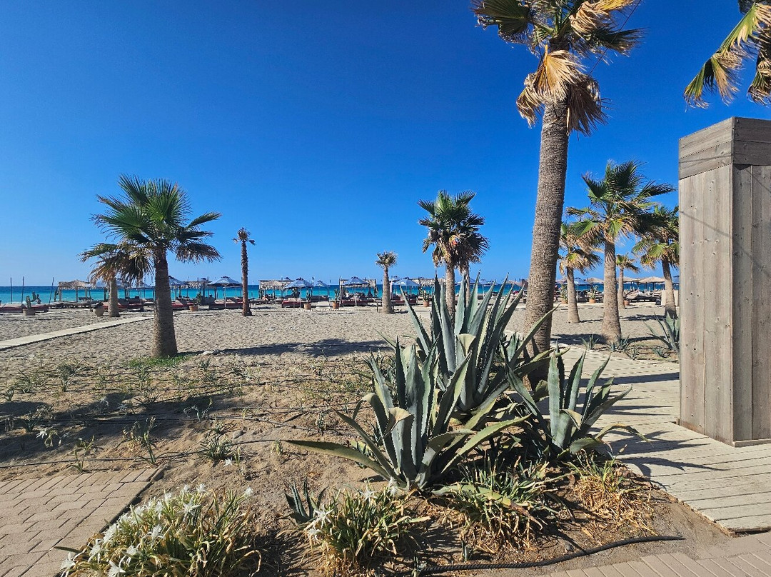 Baja Beach Club Restaurant-雷斯蒙必去景点