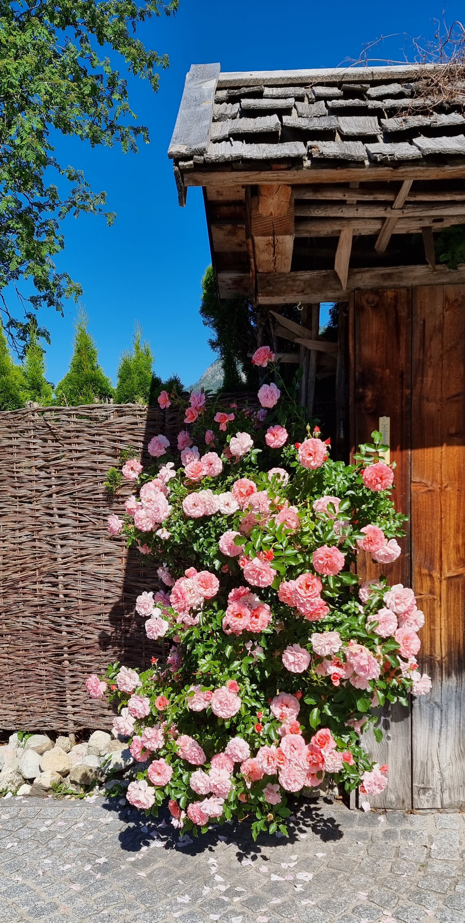 Hotel Sonnenhof-浴室