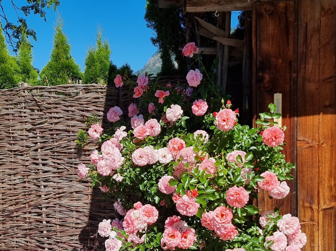 Hotel Sonnenhof主图