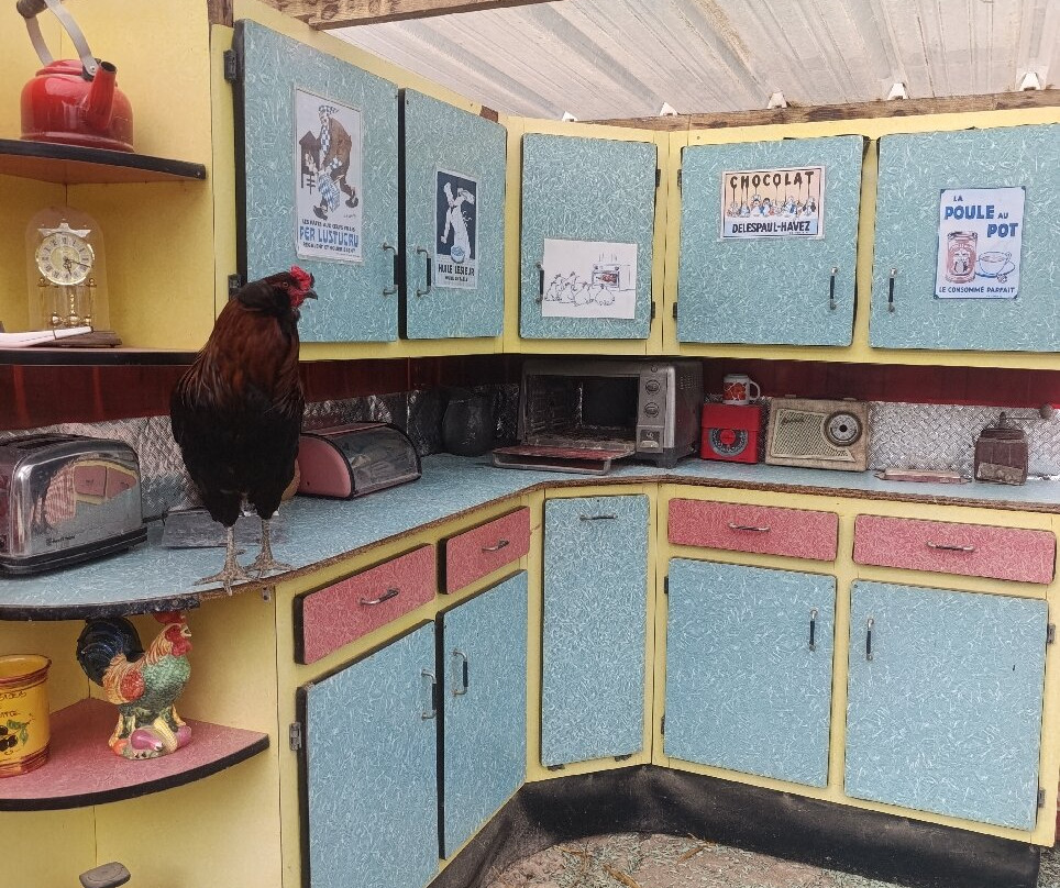 Les Jardins De Brocéliande-Breal-sous-Montfort必去景点