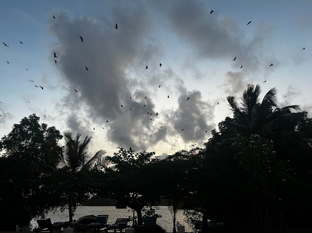 Waterside Restaurant