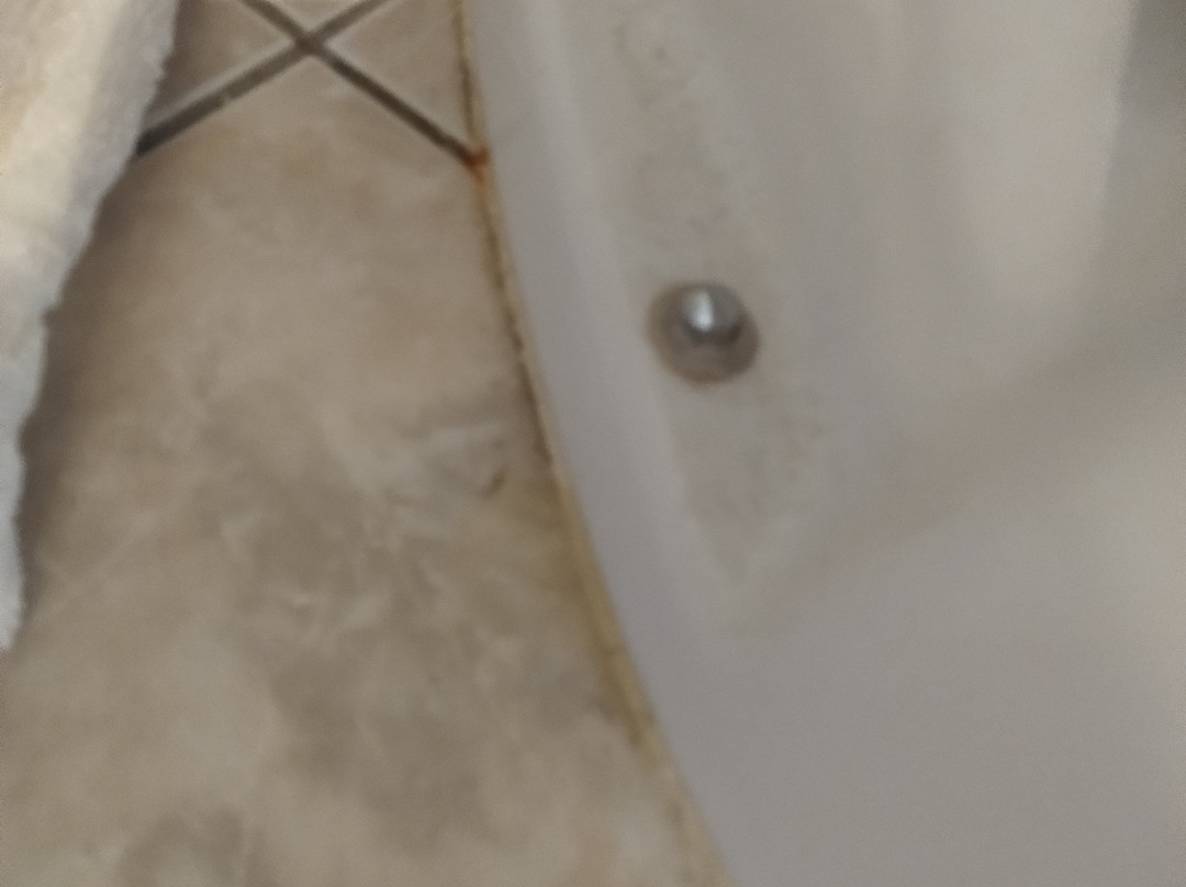 Hotel Restaurant la Rose des Vents主图