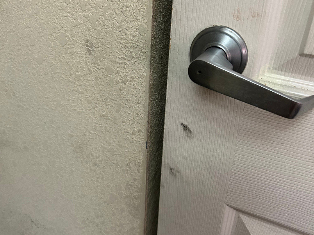 Baymont by Wyndham Wichita East主图