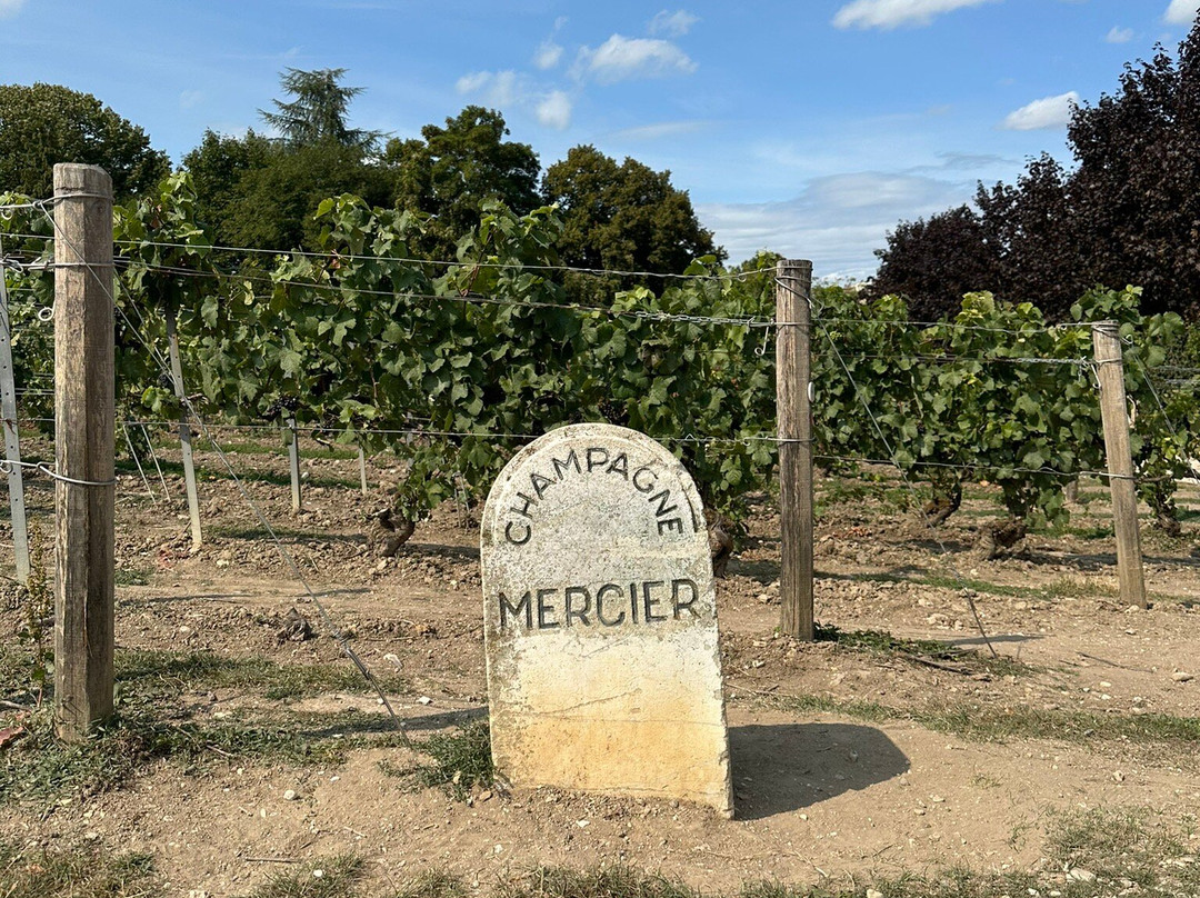 Mercier-埃佩尔内必去景点