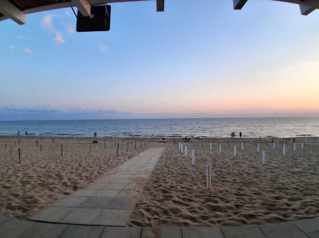 Le Dune