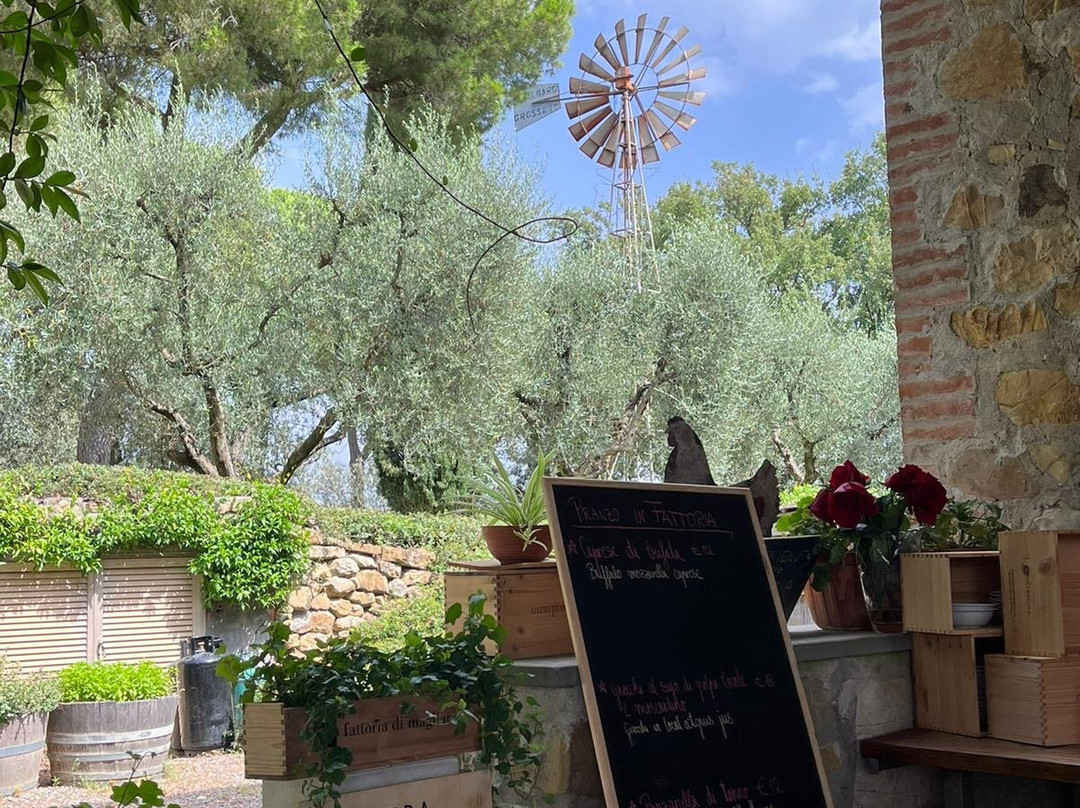 Fattoria Di  Magliano主图