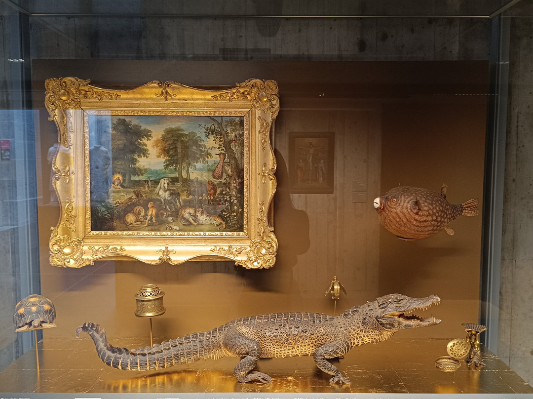 Musée des Beaux-Arts et d'Archeologie de Besancon-贝桑松必去景点