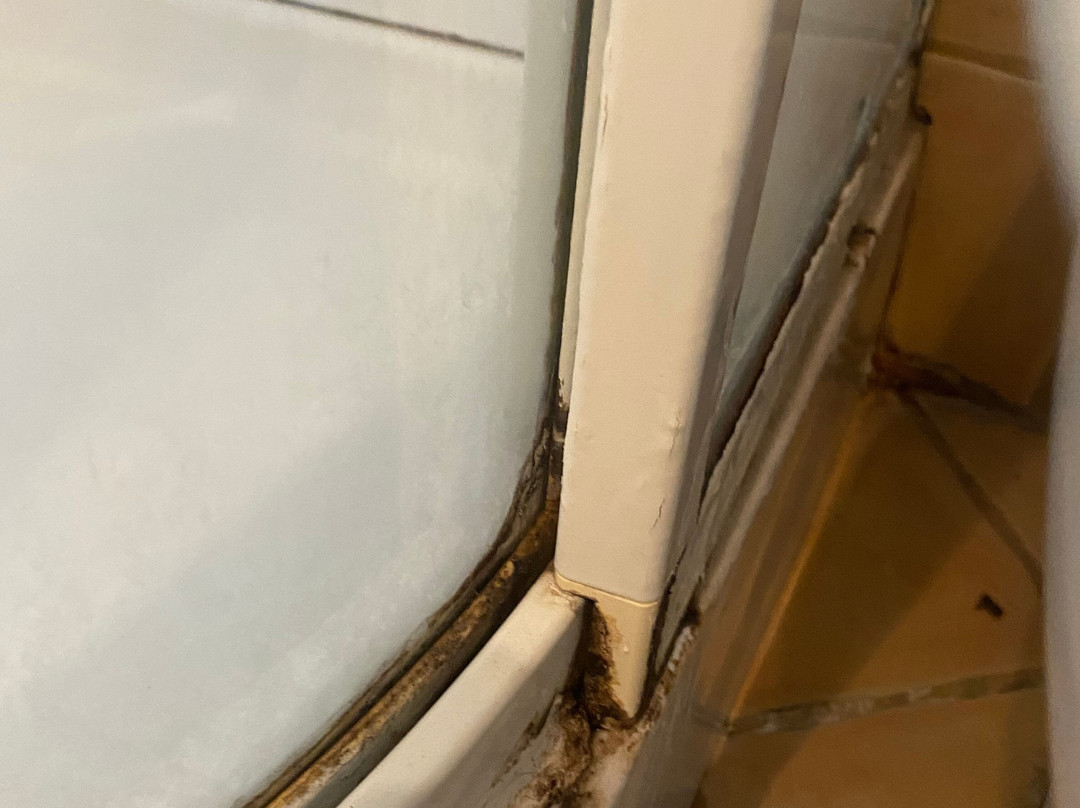 伊莱恩酒店主图