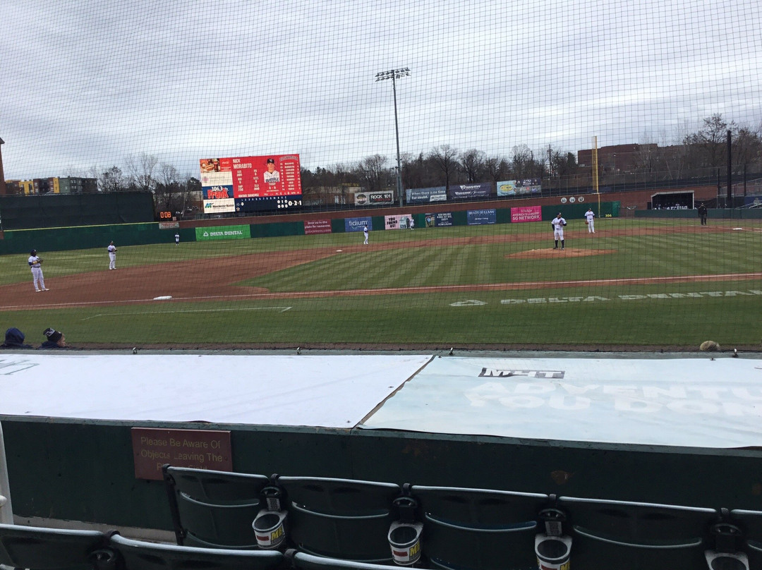 Delta Dental Stadium-曼彻斯特必去景点